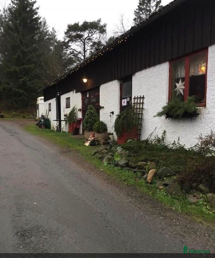  stallplats Ledig stallplats i Mölnlycke 🌿 - Annons 10