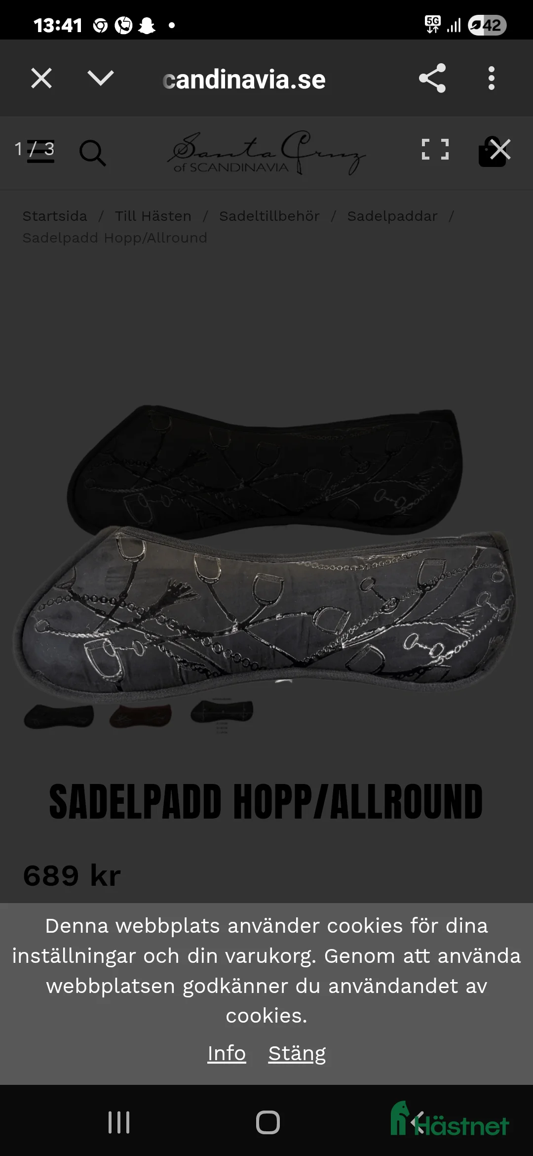 Sadeltillbehör hästutrustning till salu: Santa Cruz sadelpad i Norrköping - Annons 5