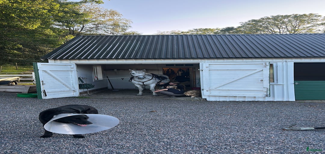 Galleribild {{count}}