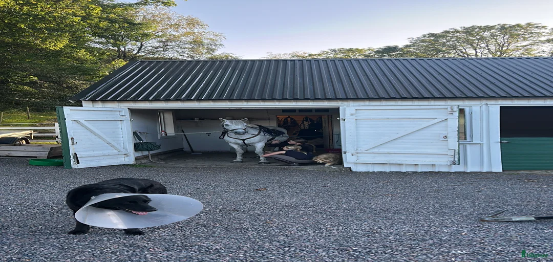 Galleribild {{count}}