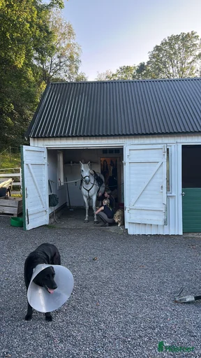 Galleribild {{count}}