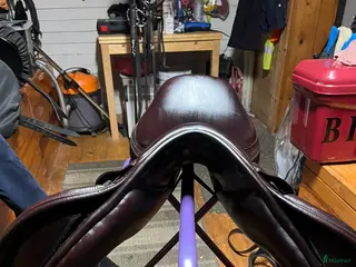 Sadlar hästutrustning Santa cruze mörk brun - Annons 11