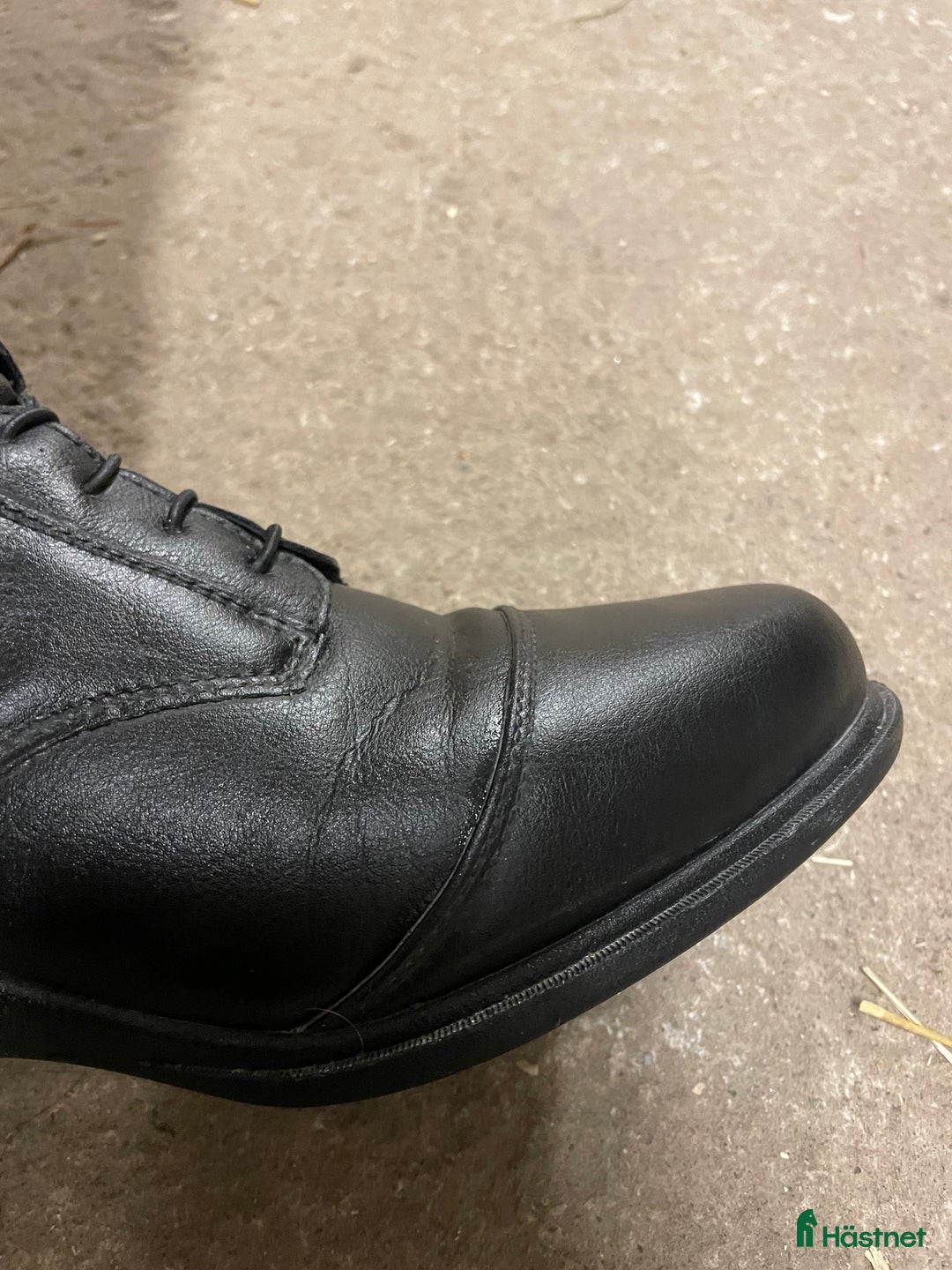 Ridstövlar ryttarutrustning till salu: Ridstövlar i Katrineholm - Annons 4