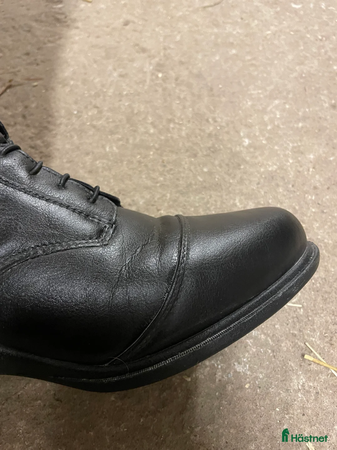 Ridstövlar ryttarutrustning till salu: Ridstövlar i Katrineholm - Annons 4