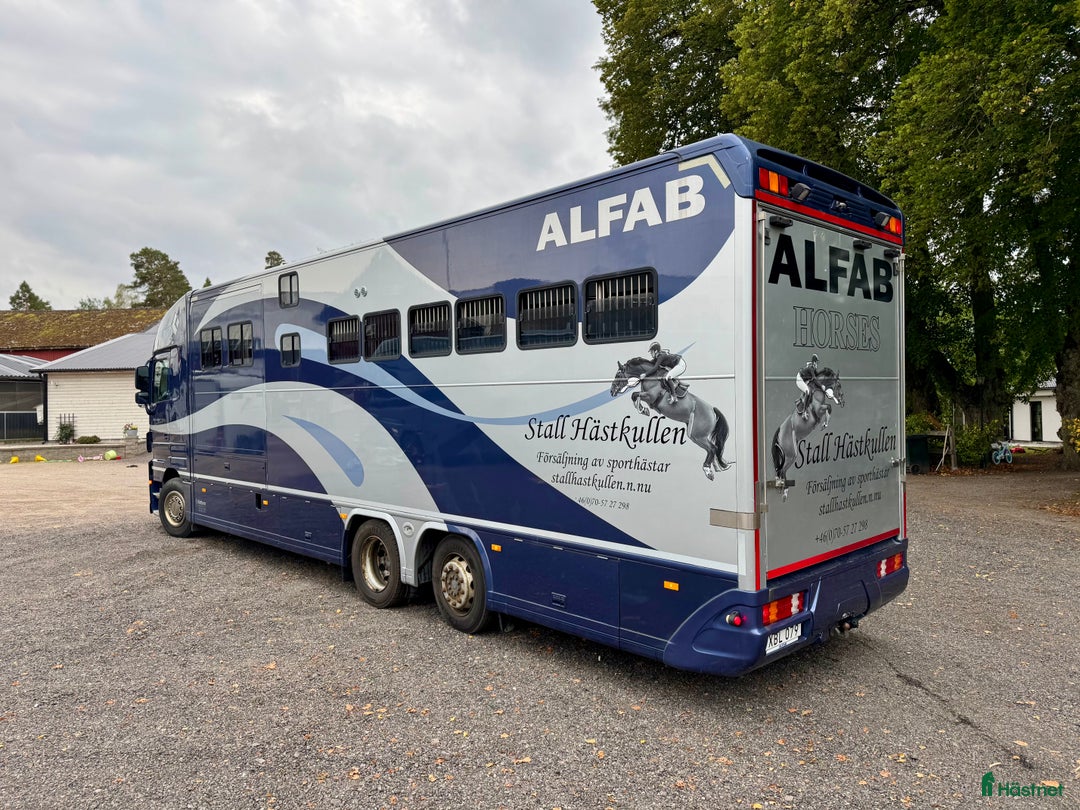 Hästlastbilar  fordon & transport till salu: Hästlastbil ketter i Åtvidaberg - Annons 13
