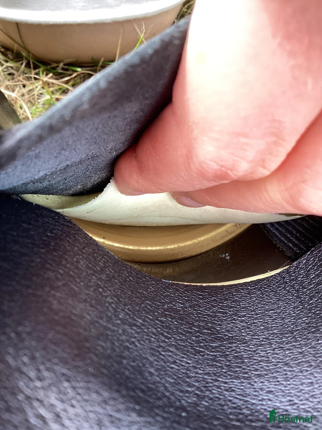 Sadlar hästutrustning till salu: Lippo XL allround - Annons 12