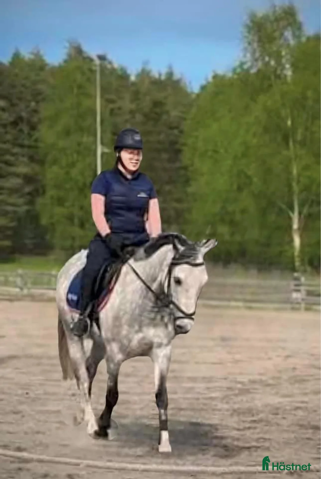  hästjobb finnes: hästtjej söker hästjobb på ridskola - Annons 1