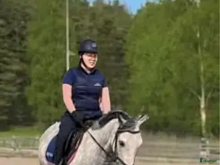 hästjobb hästtjej söker hästjobb på ridskola - Annons 6