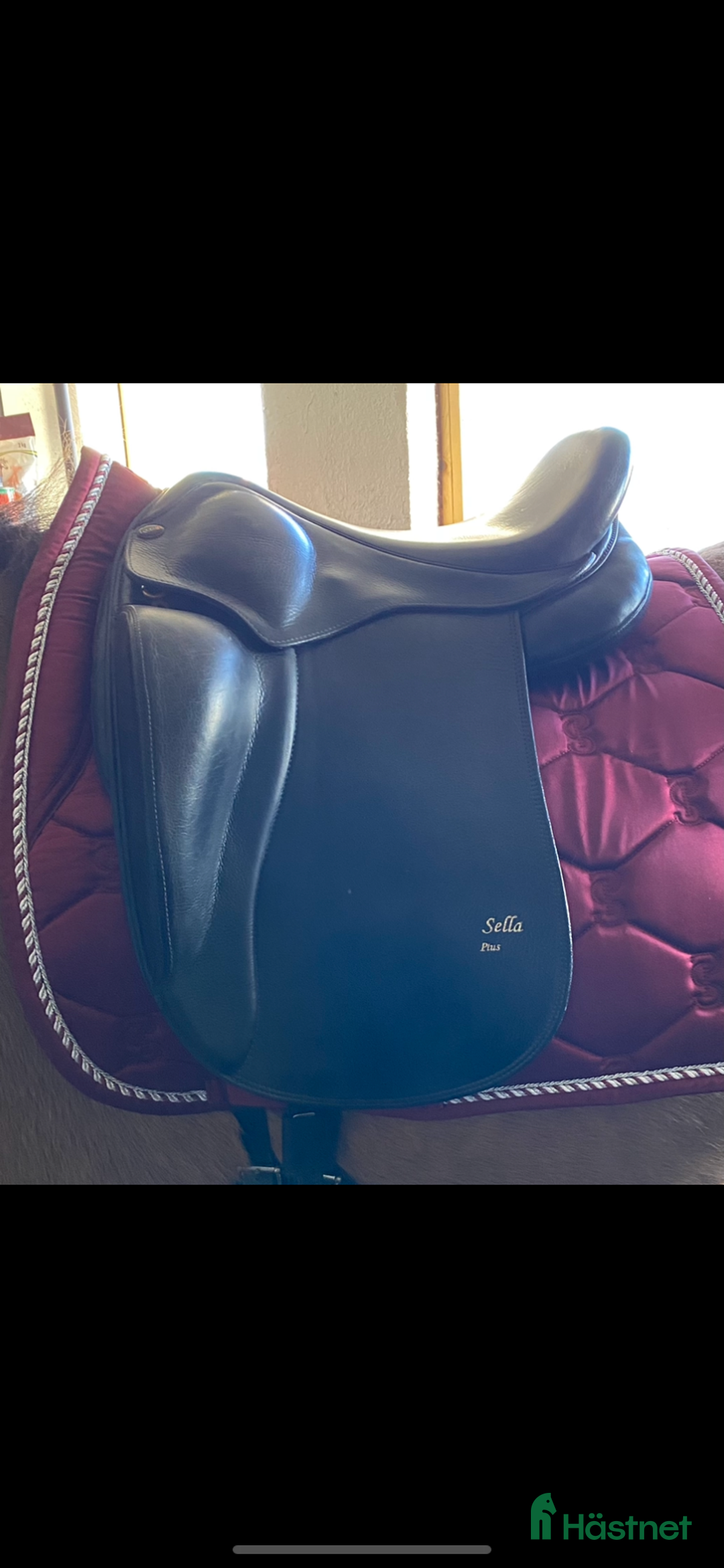 Sadlar hästutrustning till salu: Ullstoppad Eques sella plus säljes  i Råneå - Annons 1