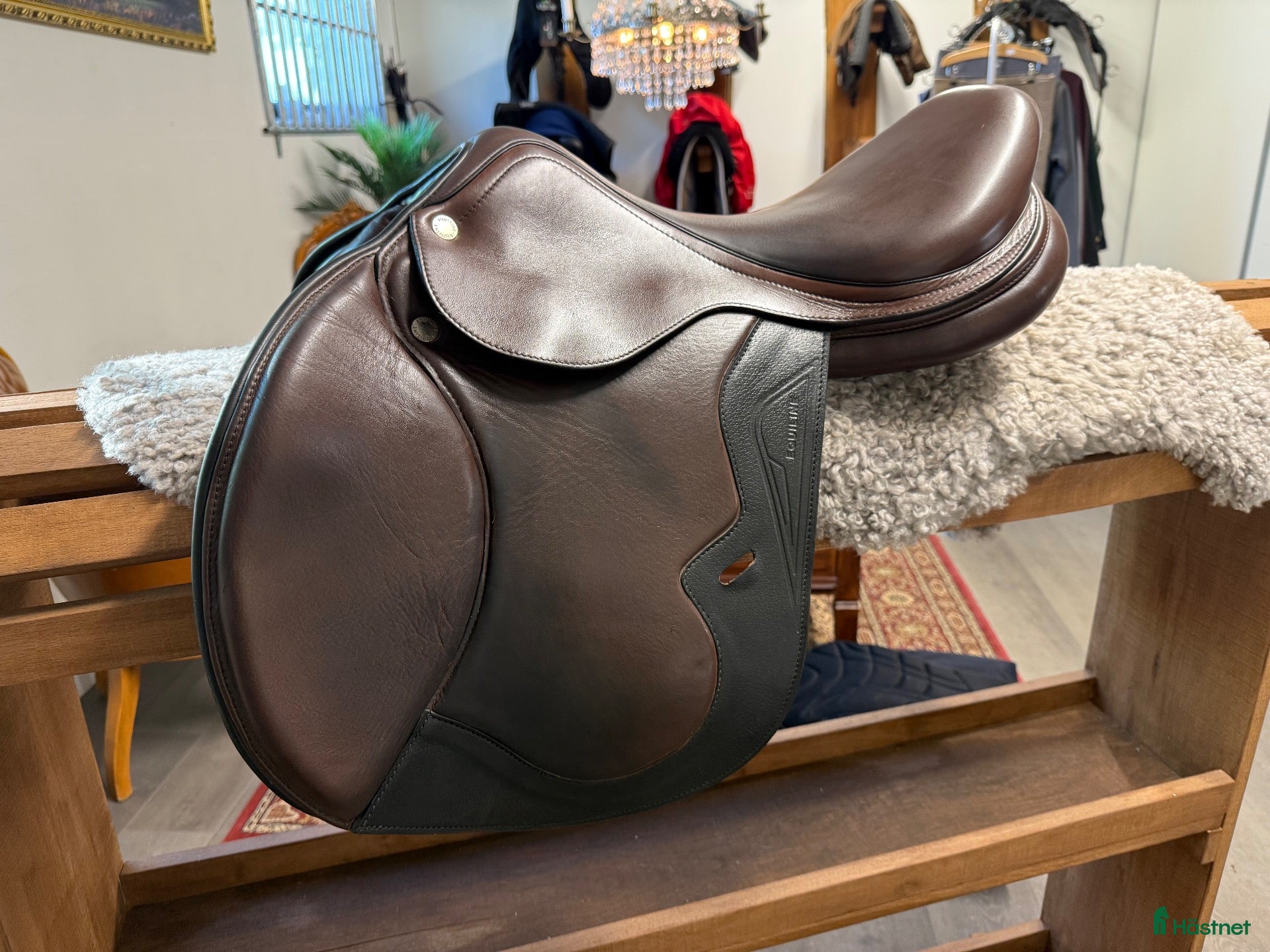 Sadlar hästutrustning Equiline dynamic - Annons 7