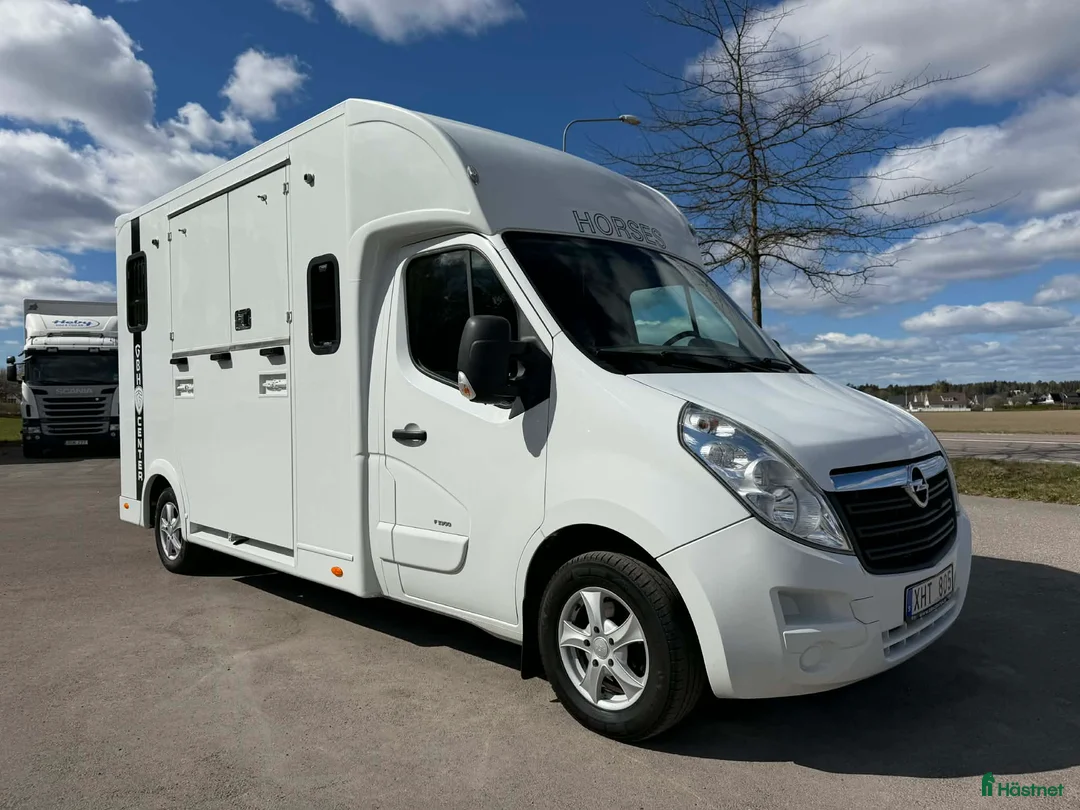 Hästlastbilar  fordon & transport till salu: NUYTS med 5 säten – en perfekt första hästlastbil! - Annons 2