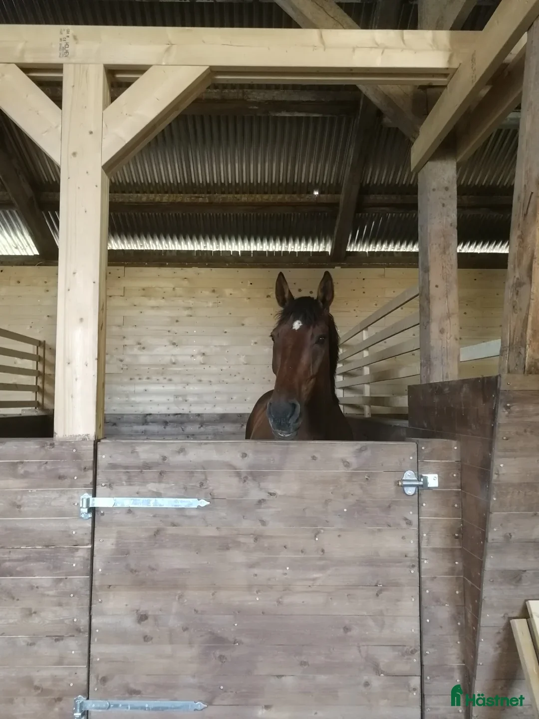  stallplats 2st Boxplatser lediga Kollektivt eller Fullservice i Fjärdhundra - Annons 9