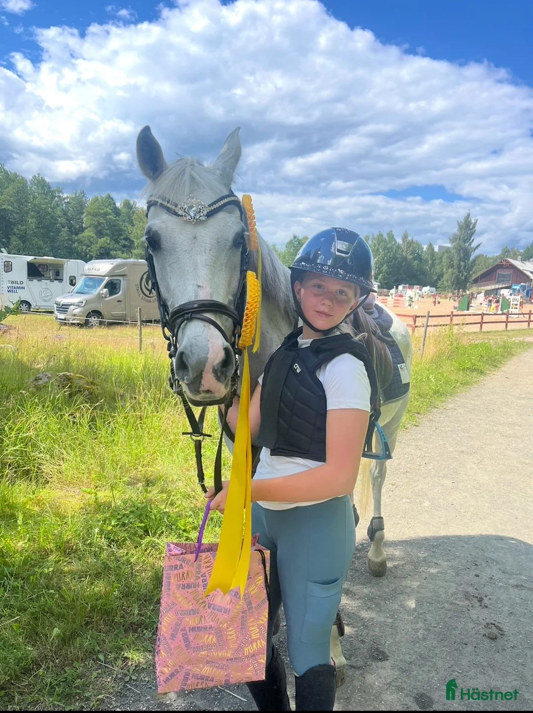 Hoppning hästar till salu: Fin ponny - Annons 3