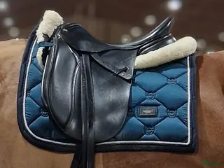 Sadlar hästutrustning Dressyrsadel Trainers Continental i Kalix - Annons 3