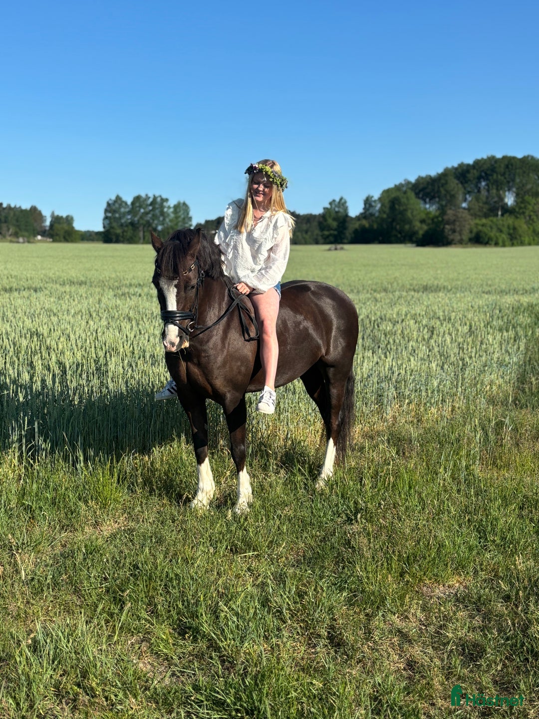 Dressyr hästar till salu: 🌟Magisk ponny söker liten dressyrryttare med ❤️ i Vaxholm - Bild 5