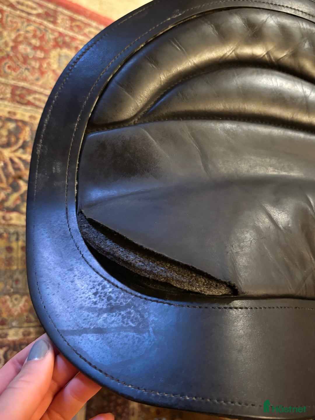 Sadlar hästutrustning till salu: Allround sadel 16,5  i Falkenberg - Annons 5