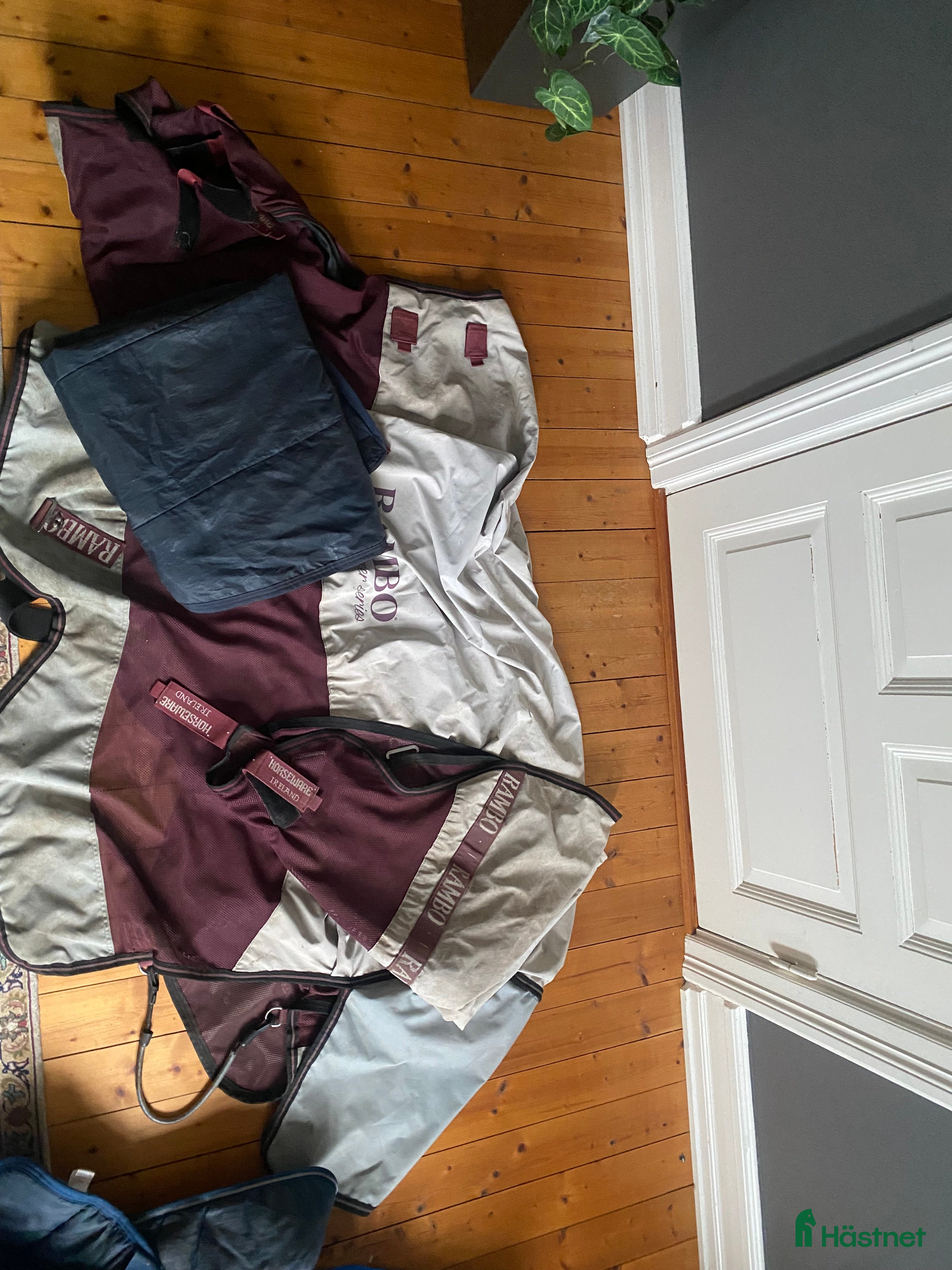 Täcken hästutrustning till salu: Flug/regn täcke Rambo i Hörby - Annons 20