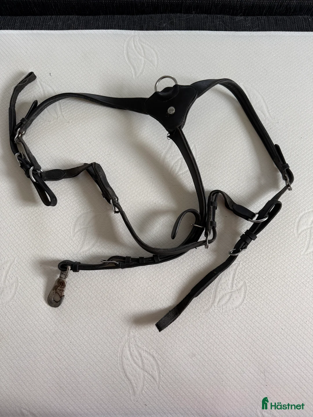 Övrig Hästutrustning hästutrustning till salu: Sadelkammar rensning!  i Linköping - Annons 5