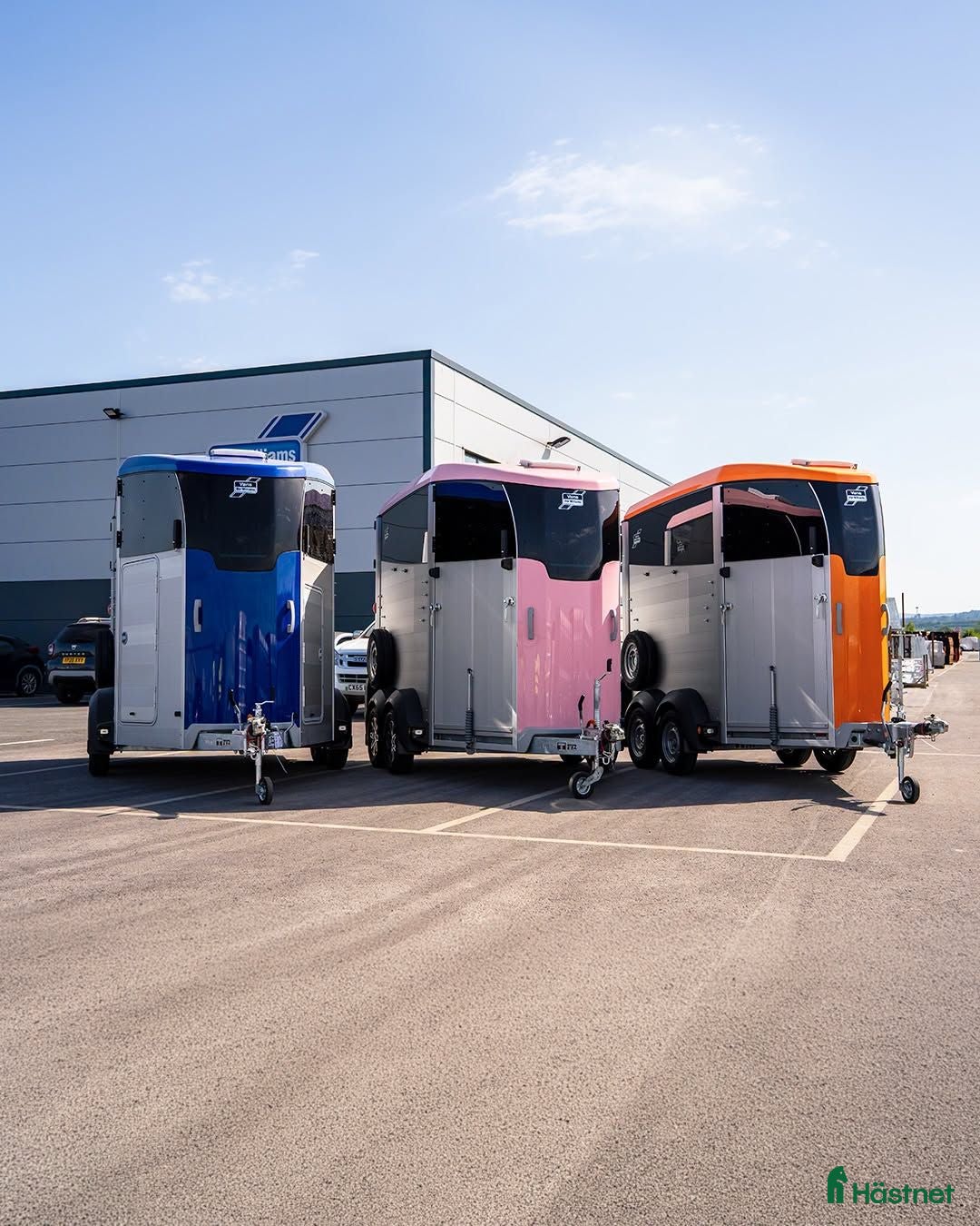Hästtransporter  fordon & transport till salu: Ny - Ifor Williams HBX511 - Annons 3