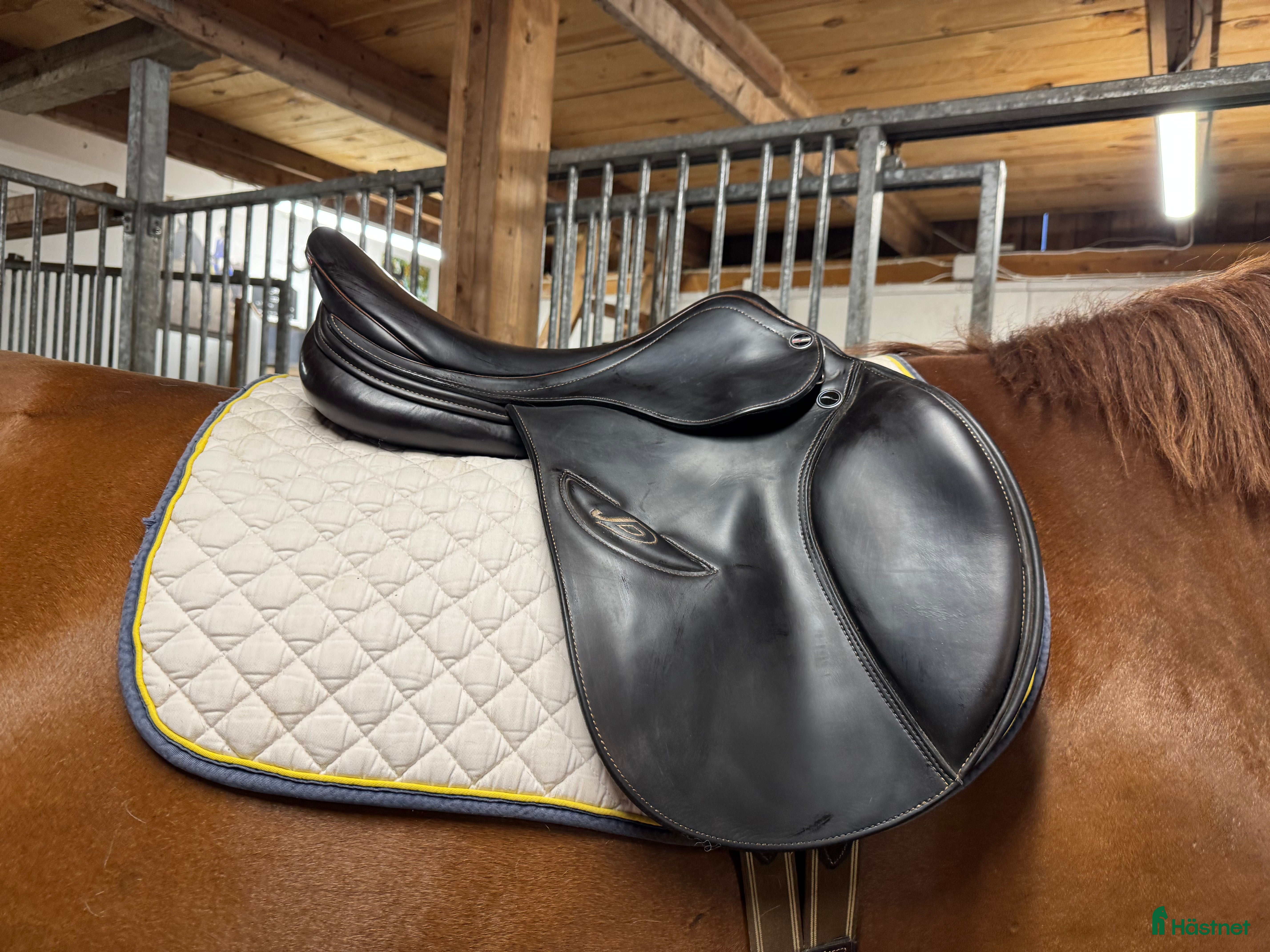 Sadlar hästutrustning till salu: Erreplus 17’ mörkbrun  i Björklinge - Annons 23