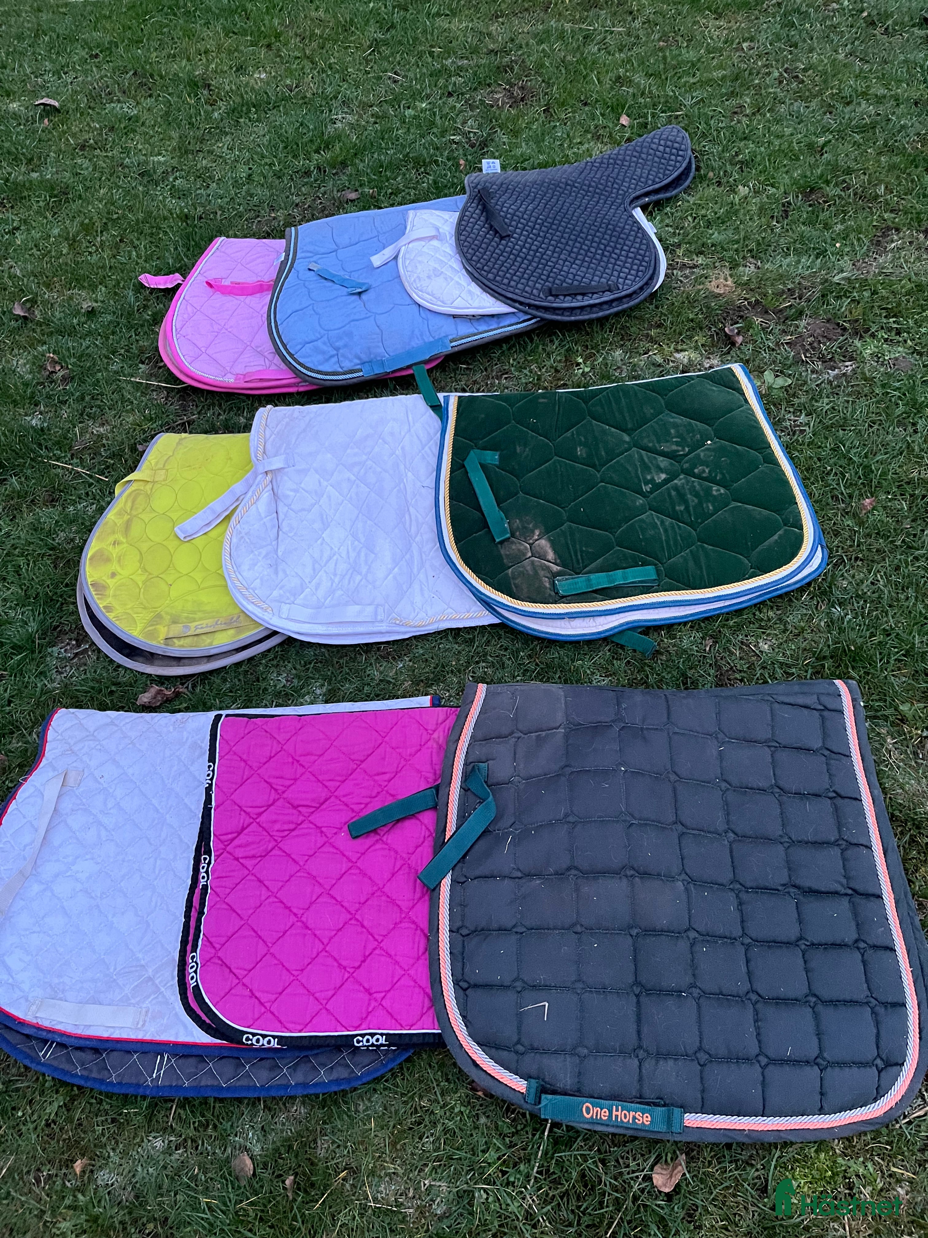 Schabrak & Vojlockar hästutrustning till salu: Paket med 10 schabrak i Västra Ämtervik - Annons 22