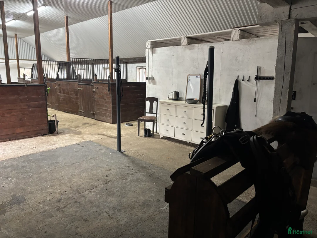  stallplats finnes: Boxplats i Hörby - Annons 3