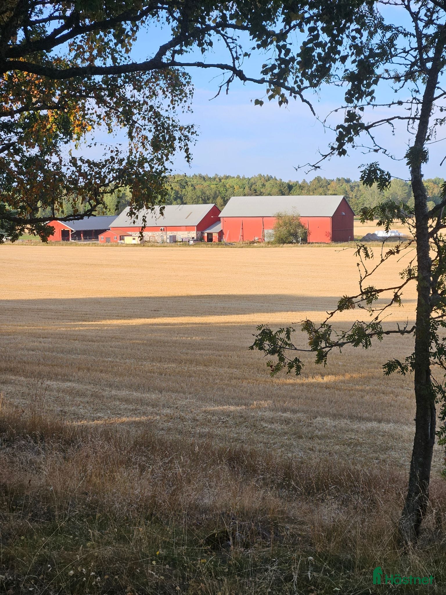  stallplats 🌿 Stallplats ledig på Åsby Säteri, Eskikstuna🌿 - Annons 7