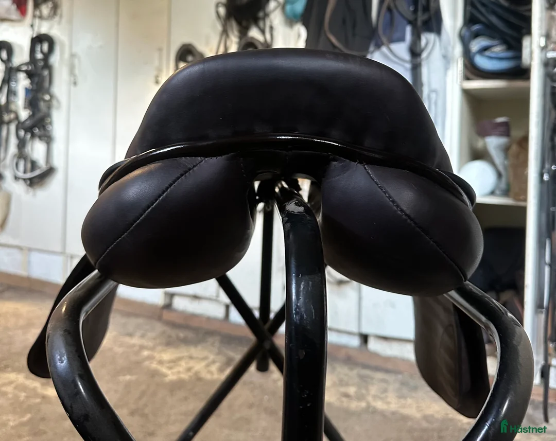 Sadlar hästutrustning till salu: Ny kemnevall Jumping Harold i Grödinge - Annons 4