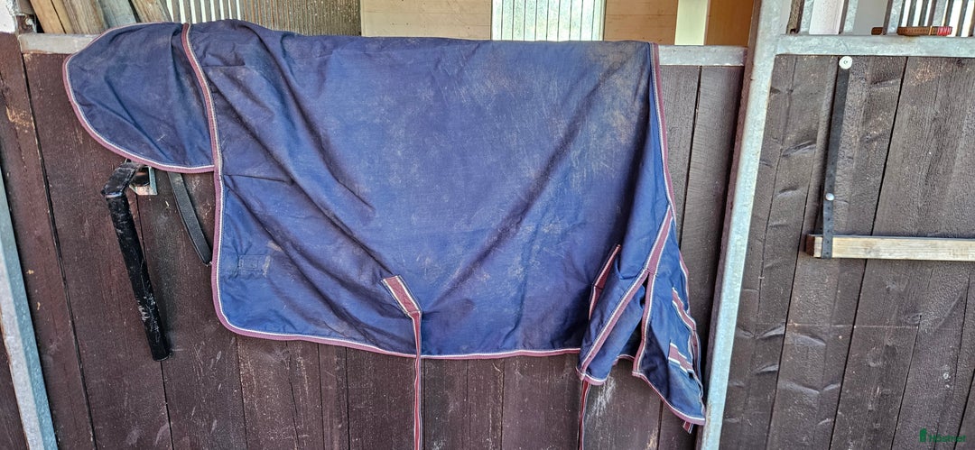 Övrig Hästutrustning hästutrustning till salu: Massa ponny saker i Vingåker - Annons 8