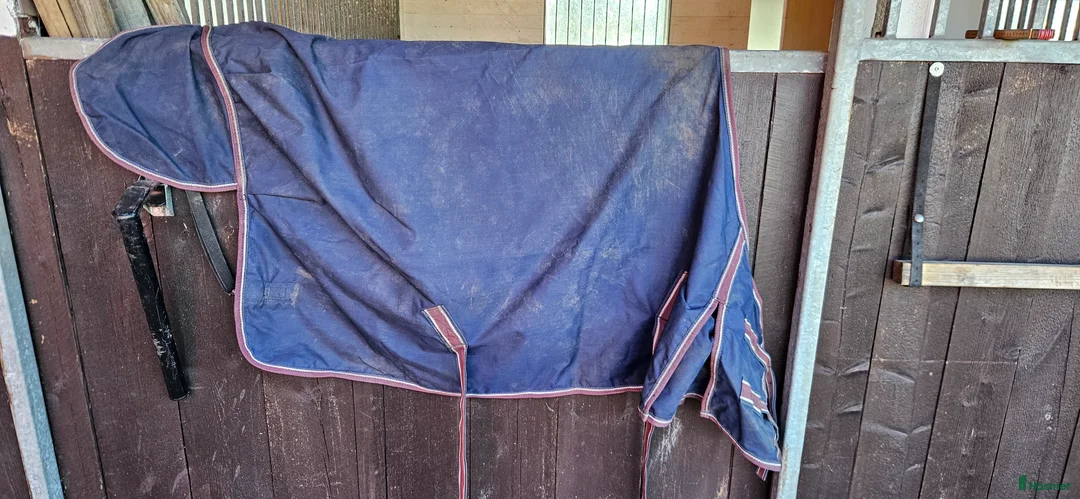 Övrig Hästutrustning hästutrustning till salu: Massa ponny saker i Vingåker - Annons 8