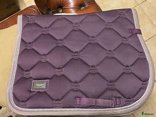 Schabrak & Vojlockar hästutrustning till salu: Equestrian Stockholm Lila i Växjö - Annons 10