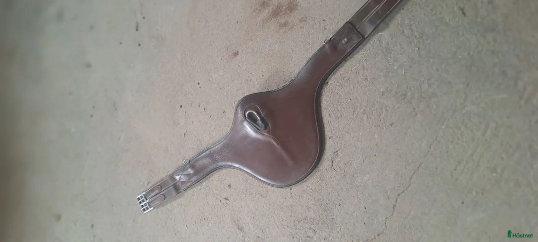 Sadeltillbehör hästutrustning till salu: Magplatta  - Annons 1