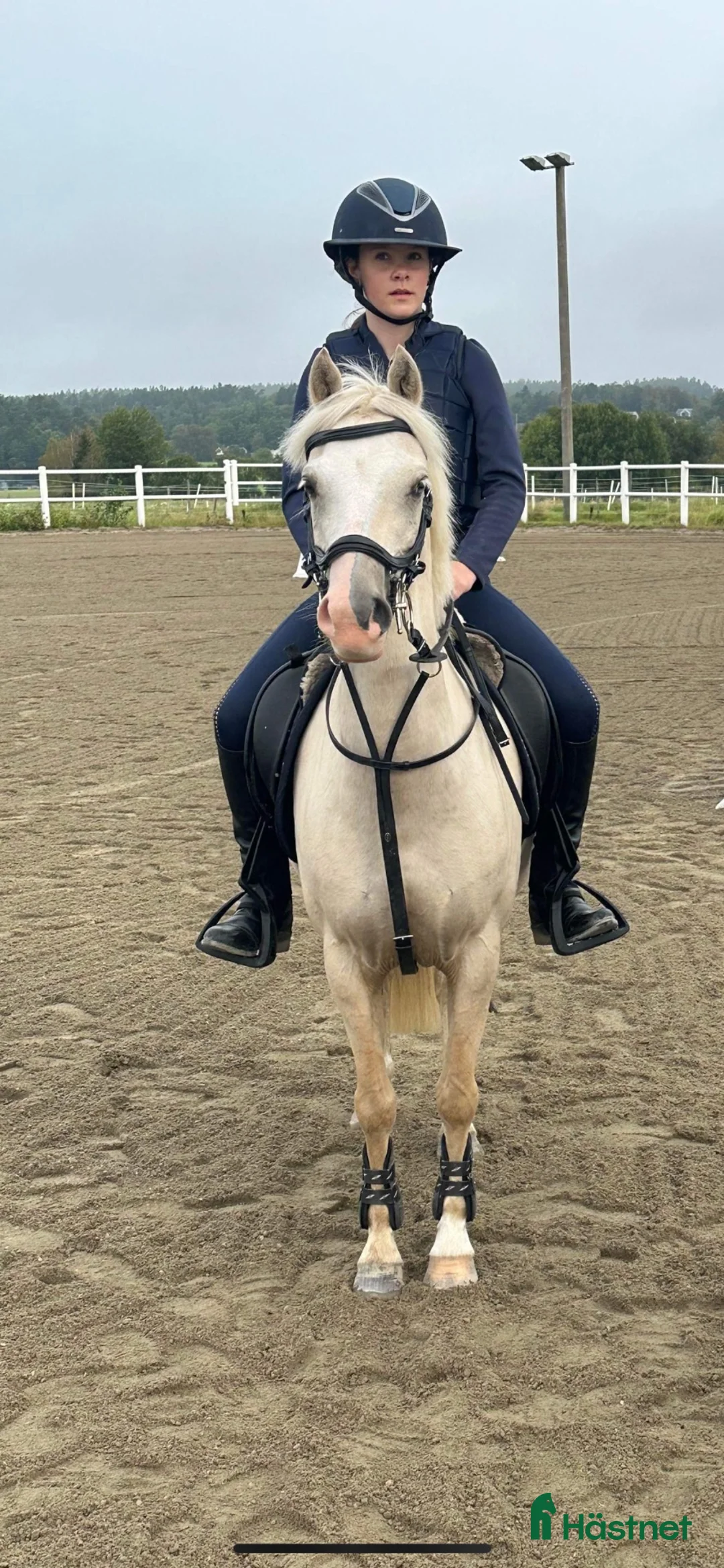 Allround hästar till salu: Charmig och pigg B-ponny söker sin nya ryttare ❤️ - Annons 2