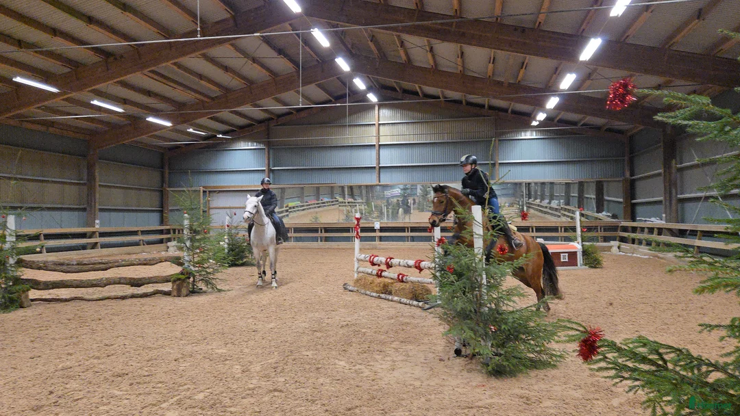 Allround hästar till salu: Snygg sportponny  - Annons 5