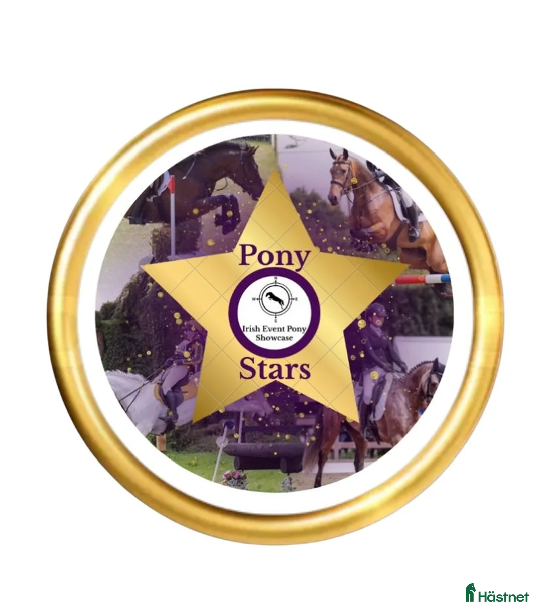 Galleribild {{count}}