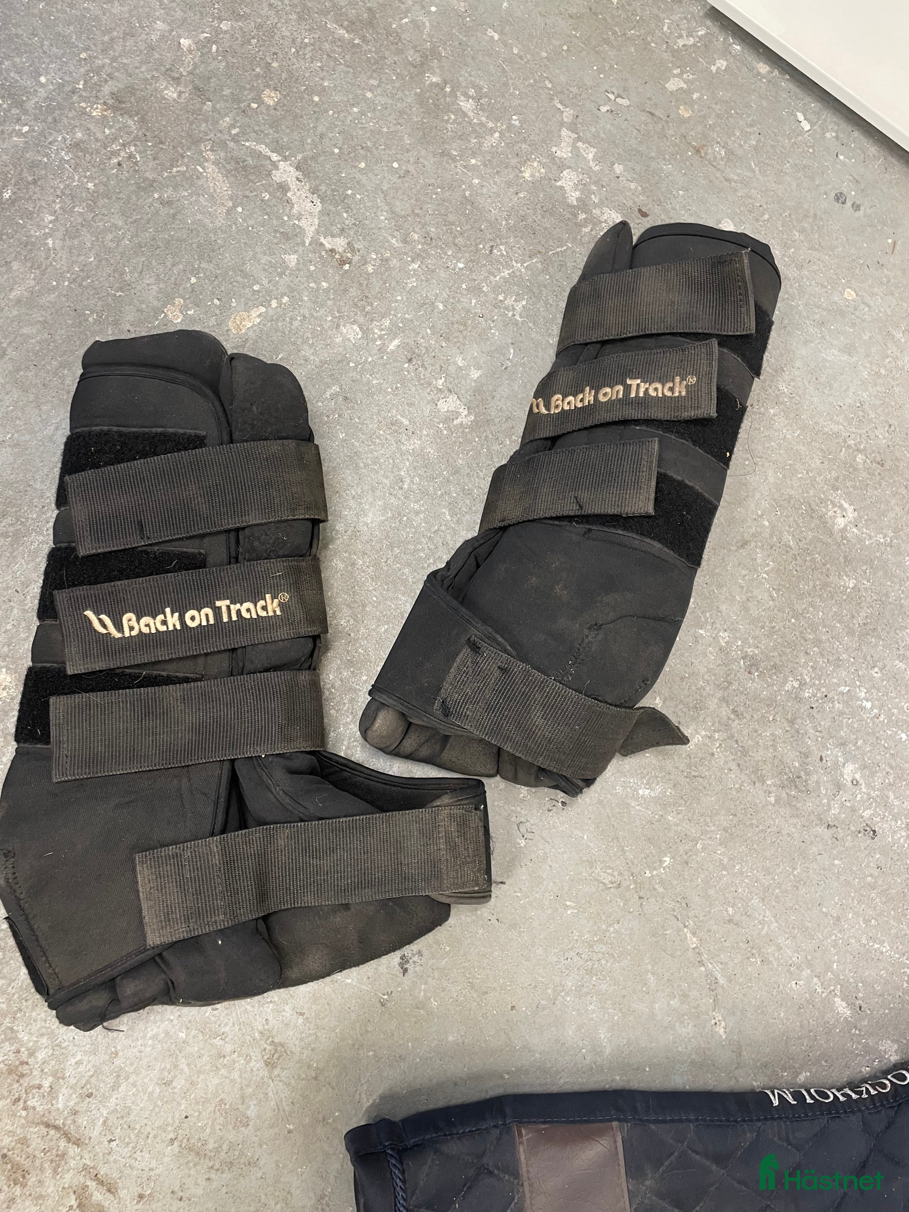 Benskydd hästutrustning till salu: Back on track stallbandage  i Kristianstad - Annons 11