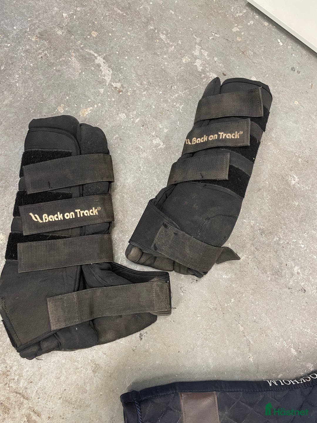 Benskydd hästutrustning till salu: Back on track stallbandage  i Kristianstad - Annons 1