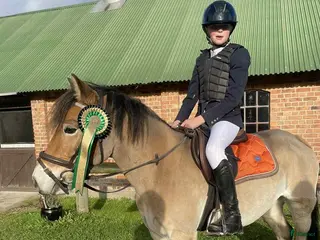 hästar En trygg och snäll barnponny - Annons 2