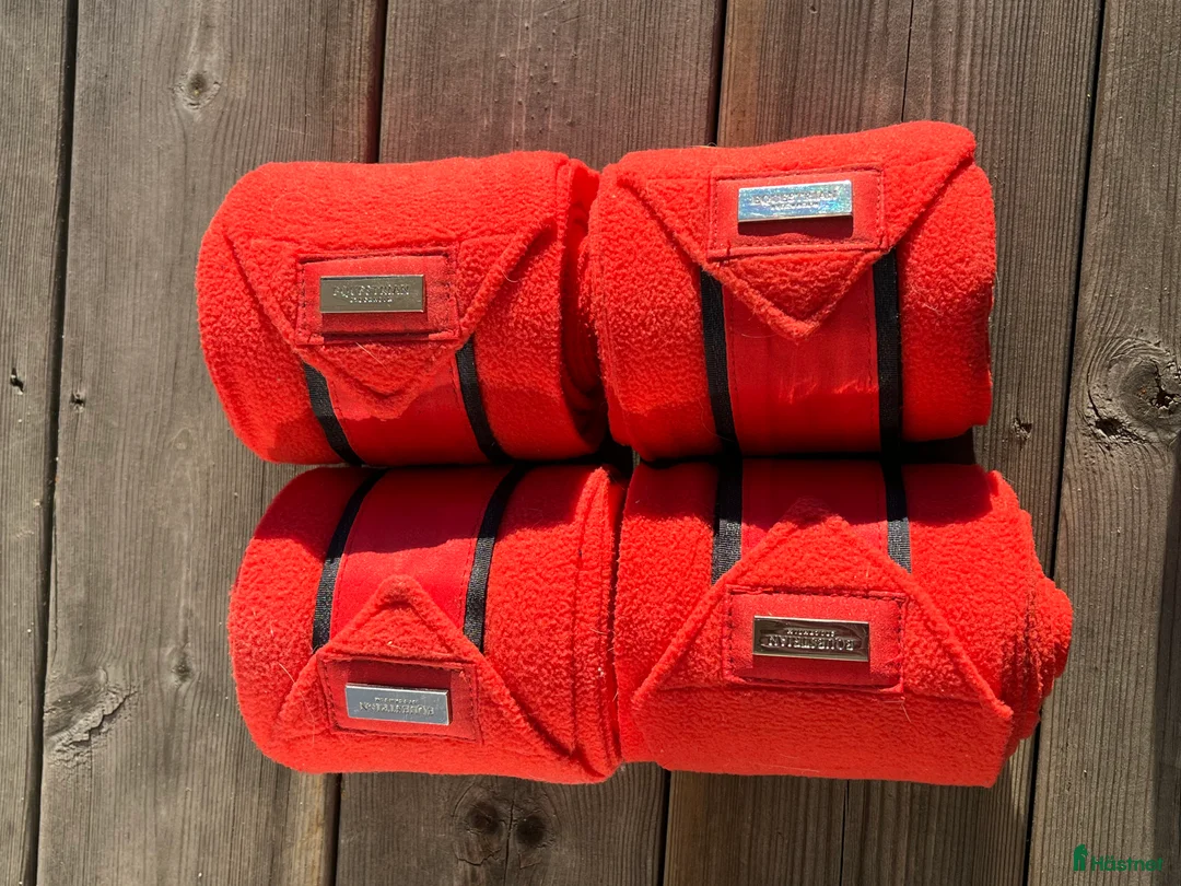 Sadlar hästutrustning till salu: Dressyr paket i Kalmar - Annons 7