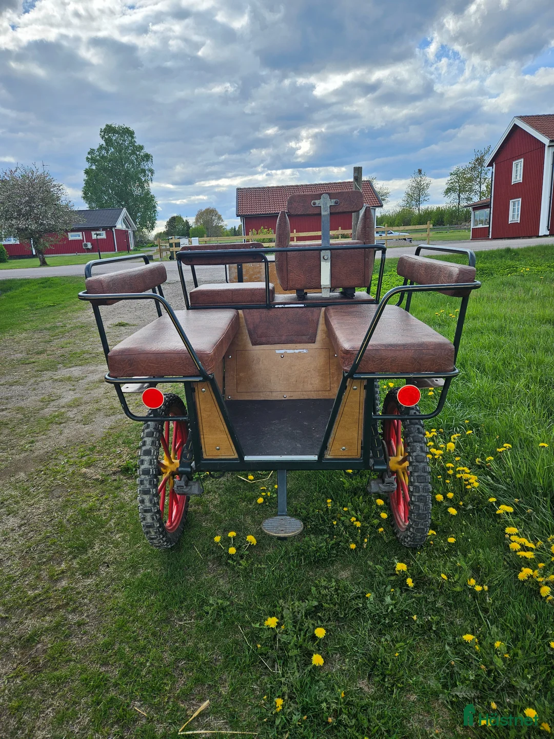 Körvagnar körning till salu: Wagonette  - Annons 3