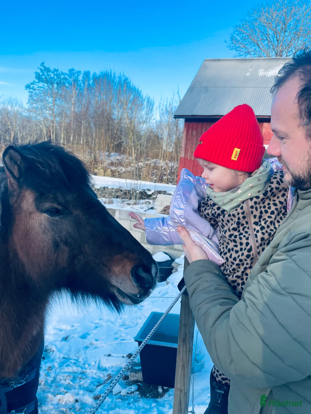 Galleribild {{count}}