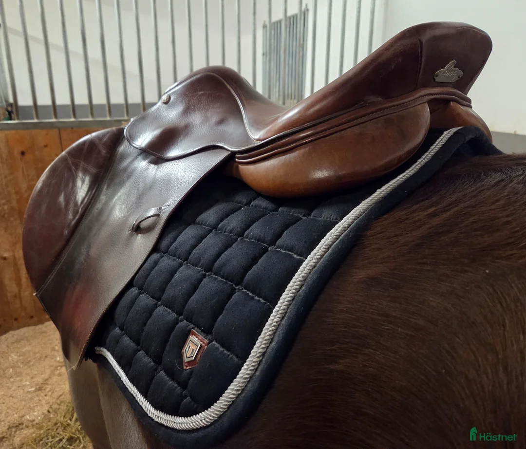 Sadlar hästutrustning till salu: Hoppsadel 17" - Annons 2