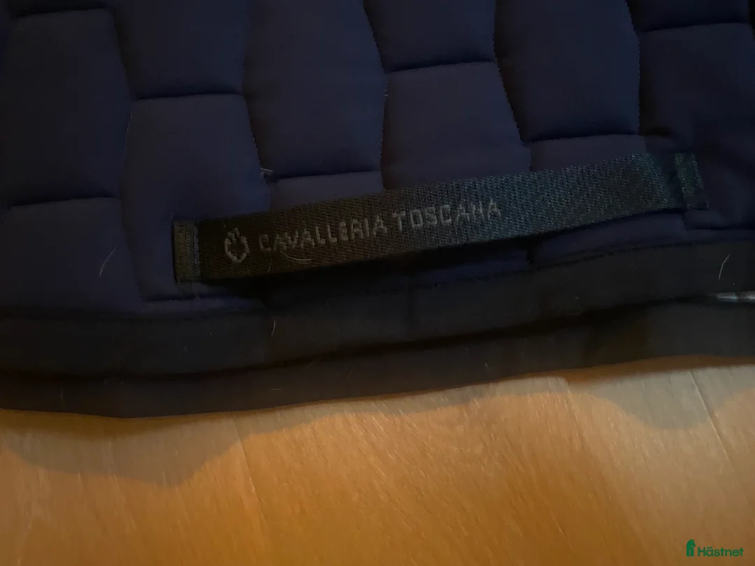 Schabrak & Vojlockar hästutrustning till salu: Cavalleria Toscana schabrak  - Annons 3