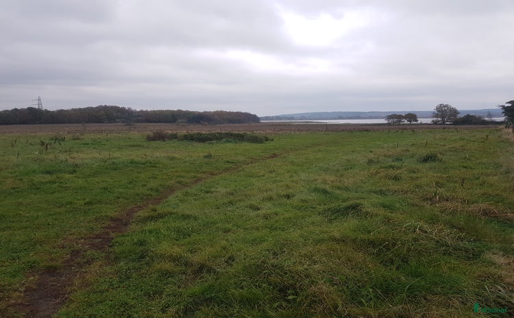  stallplats i Väröbacka - Annons 10