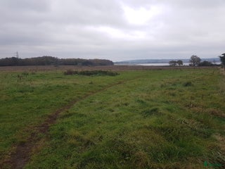 stallplats Lösdrift i Väröbacka - Annons 22