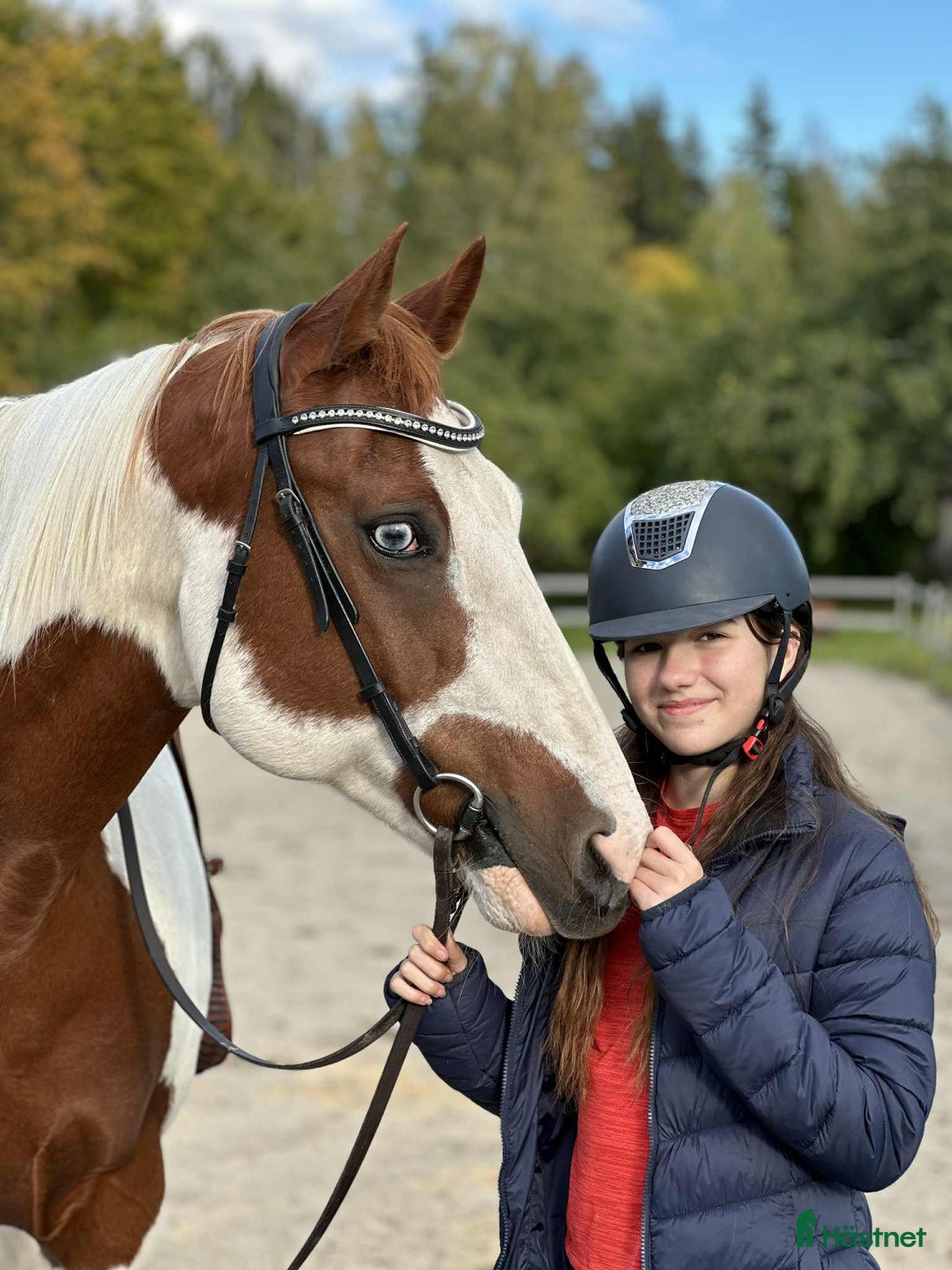 Allround hästar till salu: Världens snällaste paint i Örsundsbro - Annons 1