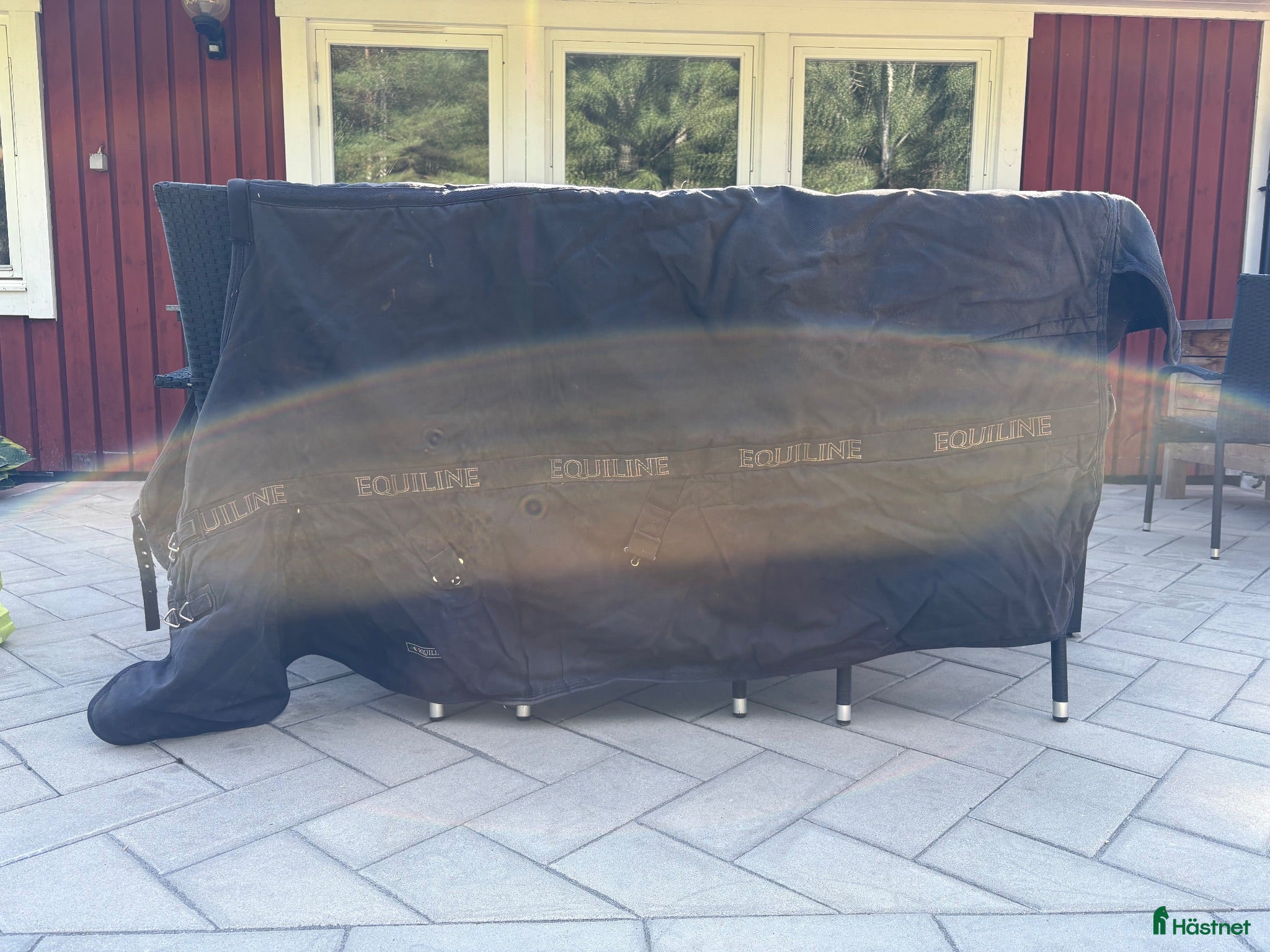 Täcken hästutrustning Equiline innetäcke  - Annons 10