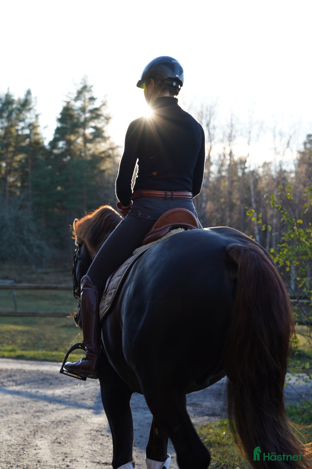  stallplats finnes: Lösdrift eller uppstallning  i Färentuna - Annons 1