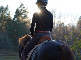 stallplats Lösdrift eller uppstallning i Färentuna - Annons 14