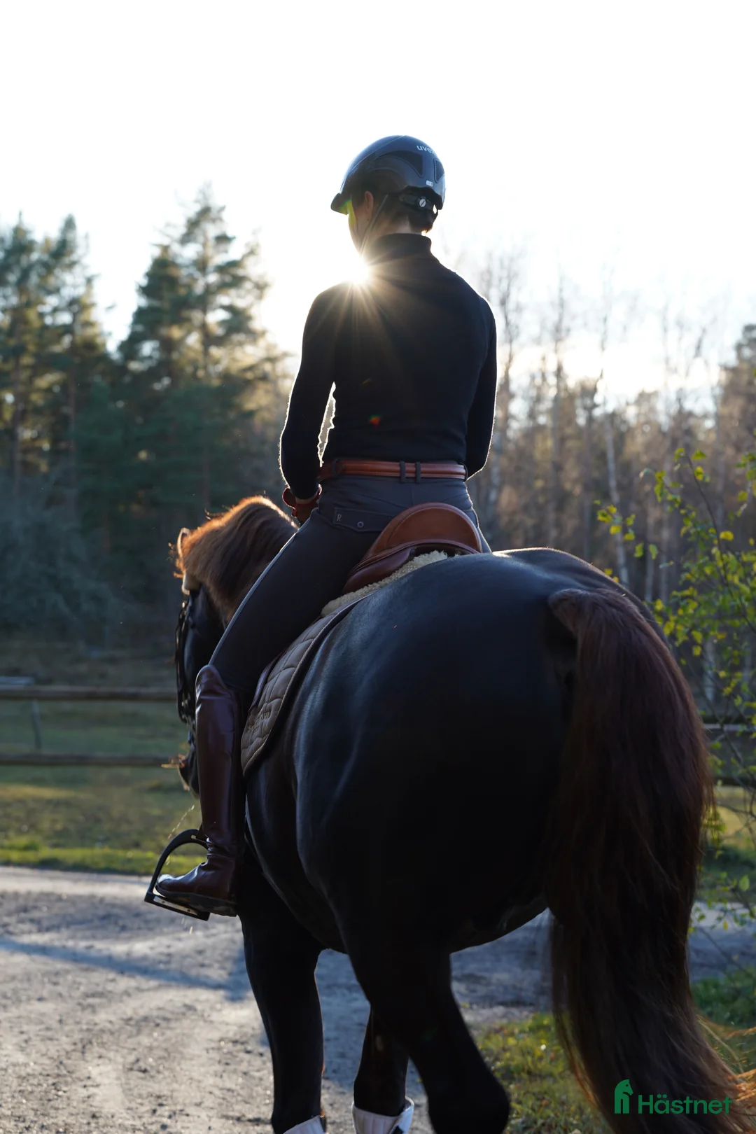  stallplats finnes: Lösdrift eller uppstallning  i Färentuna - Annons 1